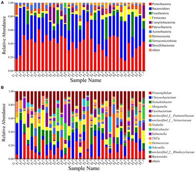 Responses of gut microbiota in crocodile lizards (Shinisaurus crocodilurus) to changes in temperature